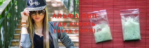 амф Богородицк